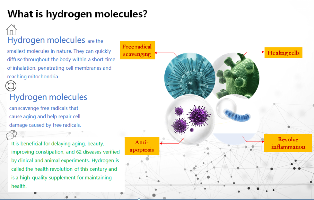 What is hydrogen molecules ?